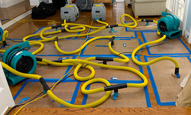 Professional Structural Drying And Dehumidification technician working in Claysville, PA